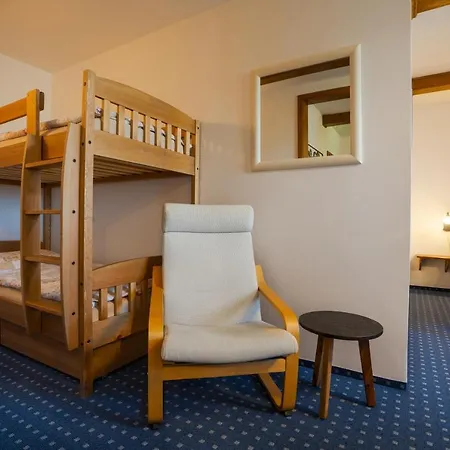 U Cerneho Kohoutka Pensionat 4*