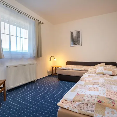 Pensionat U Cerneho Kohoutka 4*