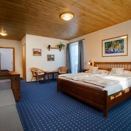 Guest house U Cerneho Kohoutka