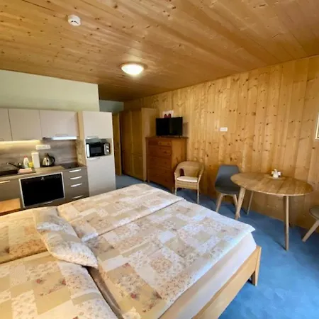 U Cerneho Kohoutka Guest house Zdikov
