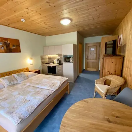 Guest house U Cerneho Kohoutka
