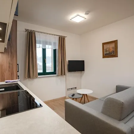 U Cerneho Kohoutka Guest house Zdikov