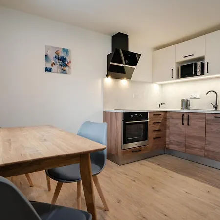 Pensionat U Cerneho Kohoutka 4*