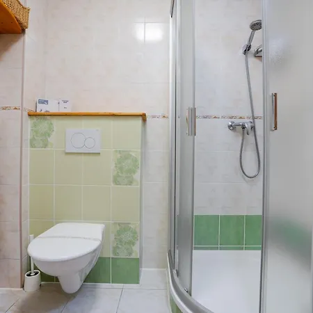 Guest house U Cerneho Kohoutka *