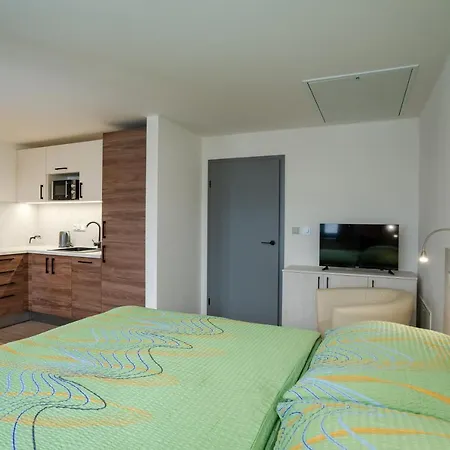 U Cerneho Kohoutka Guest house