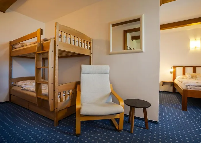 U Cerneho Kohoutka Pensionat 4*
