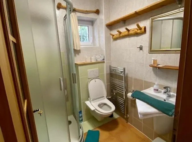 U Cerneho Kohoutka Pensionat 4*