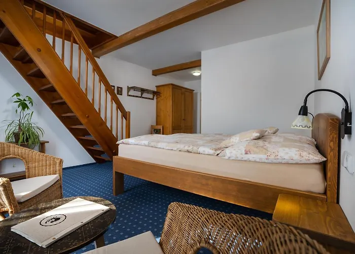 U Cerneho Kohoutka Pensionat 4*