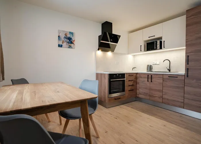 Pensionat U Cerneho Kohoutka 4*