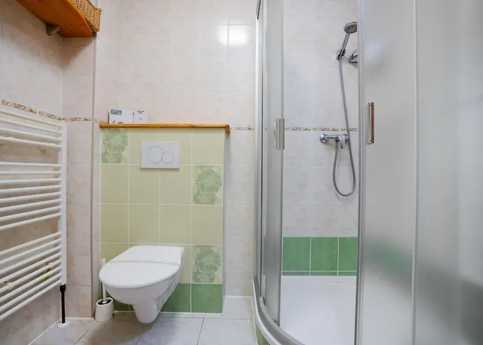 Pensionat U Cerneho Kohoutka 4*