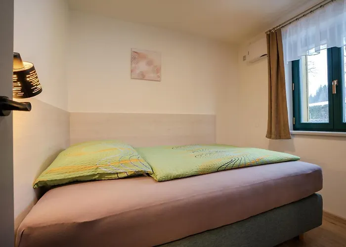 U Cerneho Kohoutka Pensionat