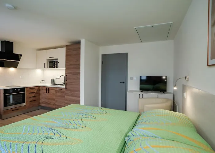 U Cerneho Kohoutka Pensionat